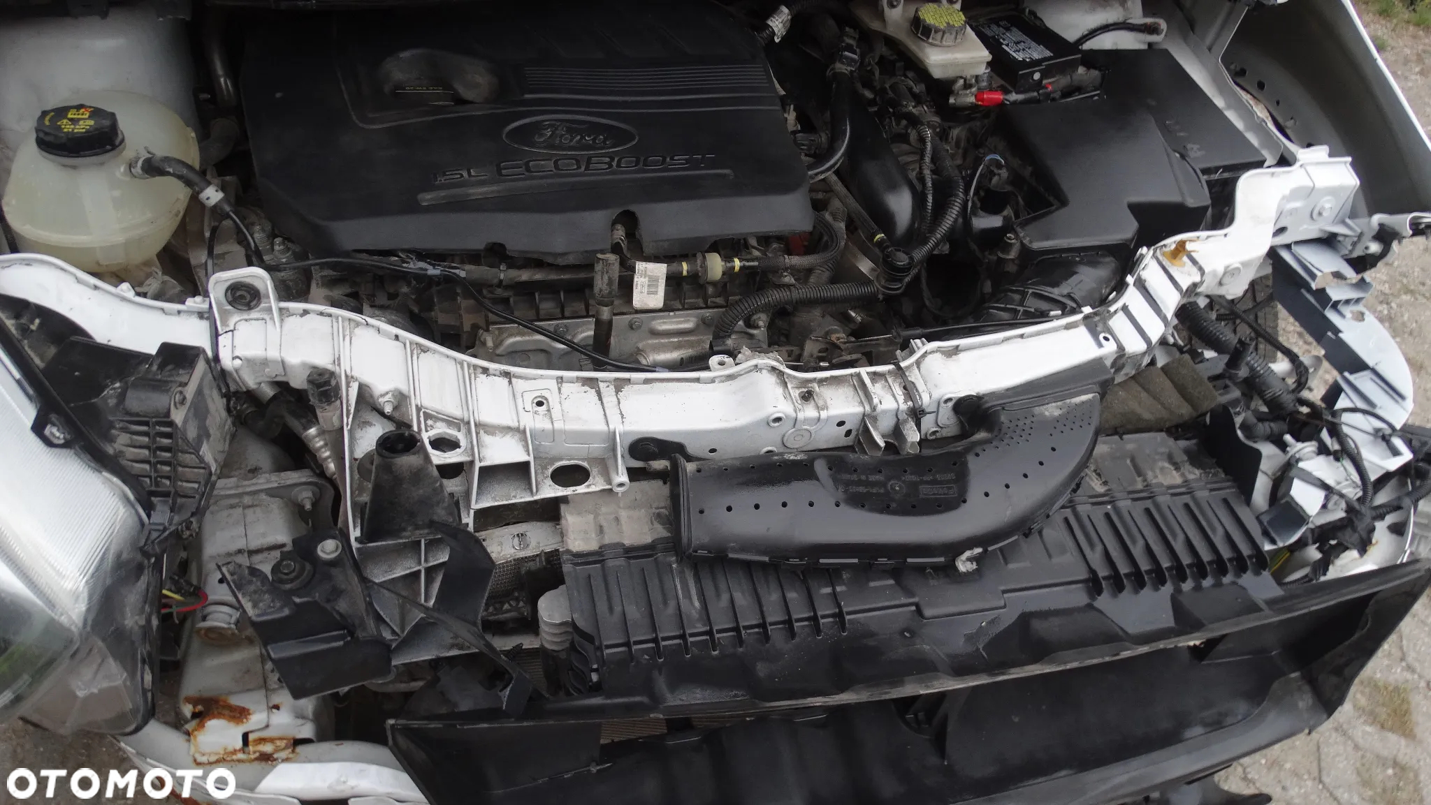 Ford Kuga 1.5 EcoBoost AWD Trend ASS - 13
