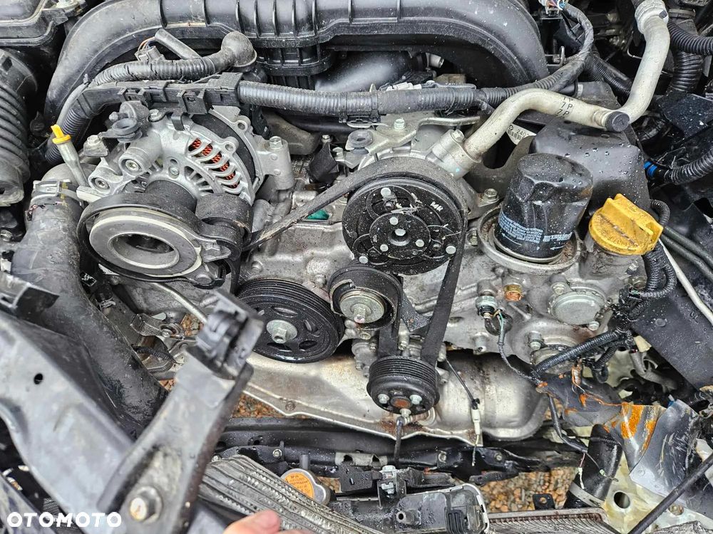 Subaru Forester - 14