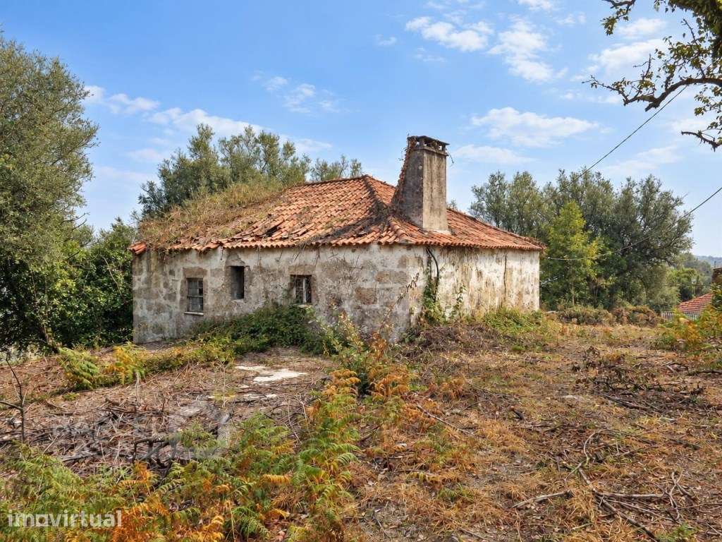 Moradia isolada para recuperar em Panque, Barcelos com terreno de 4... - Grande imagem: 4/12