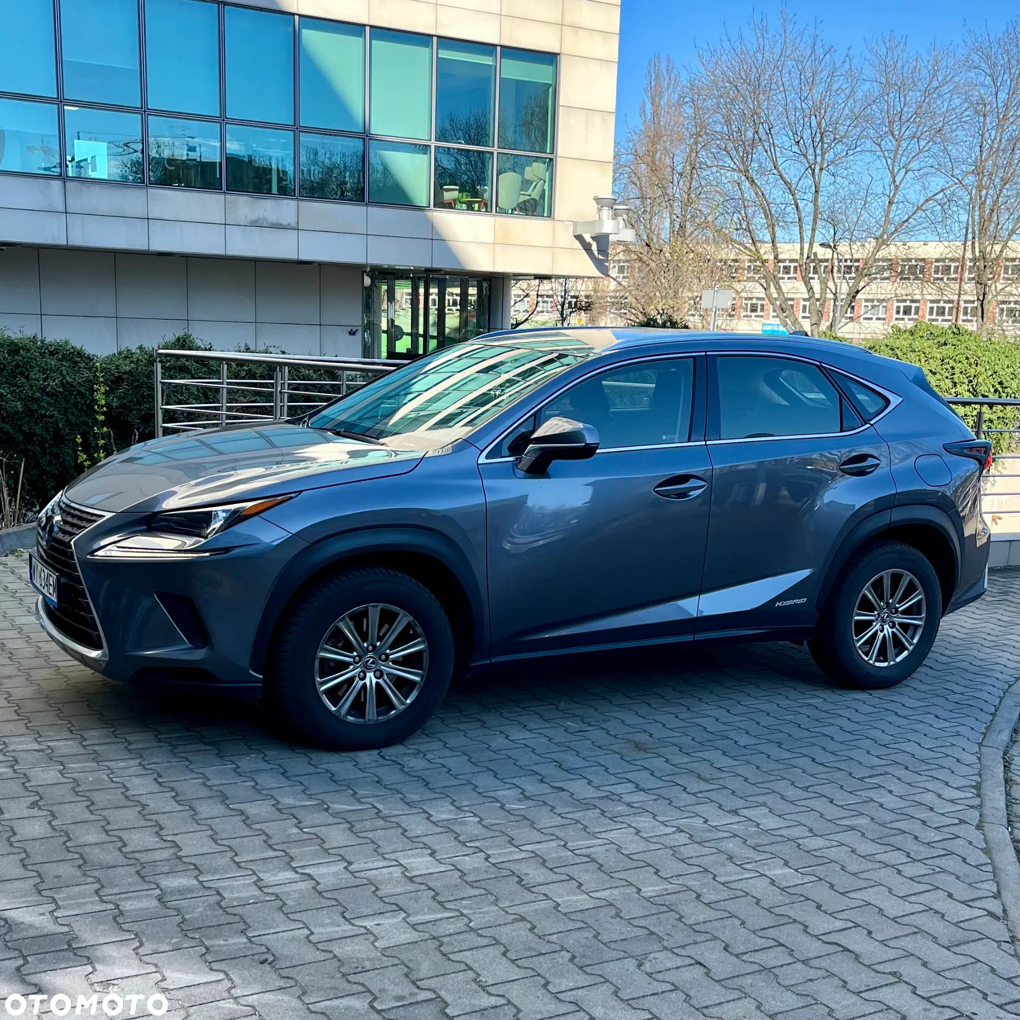Lexus NX 300h Business Edition - 4
