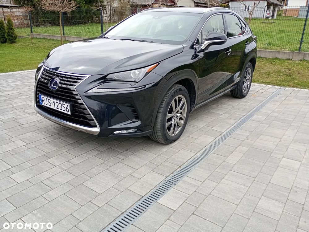 Lexus NX 300h Elite 2WD - 2