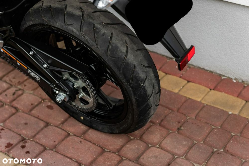 Kawasaki Versys 650 - 10