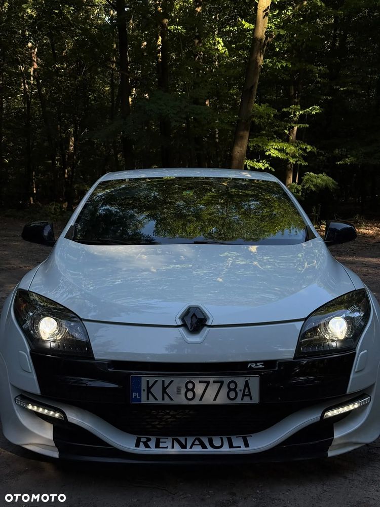 Renault Megane R.S EU6 - 6