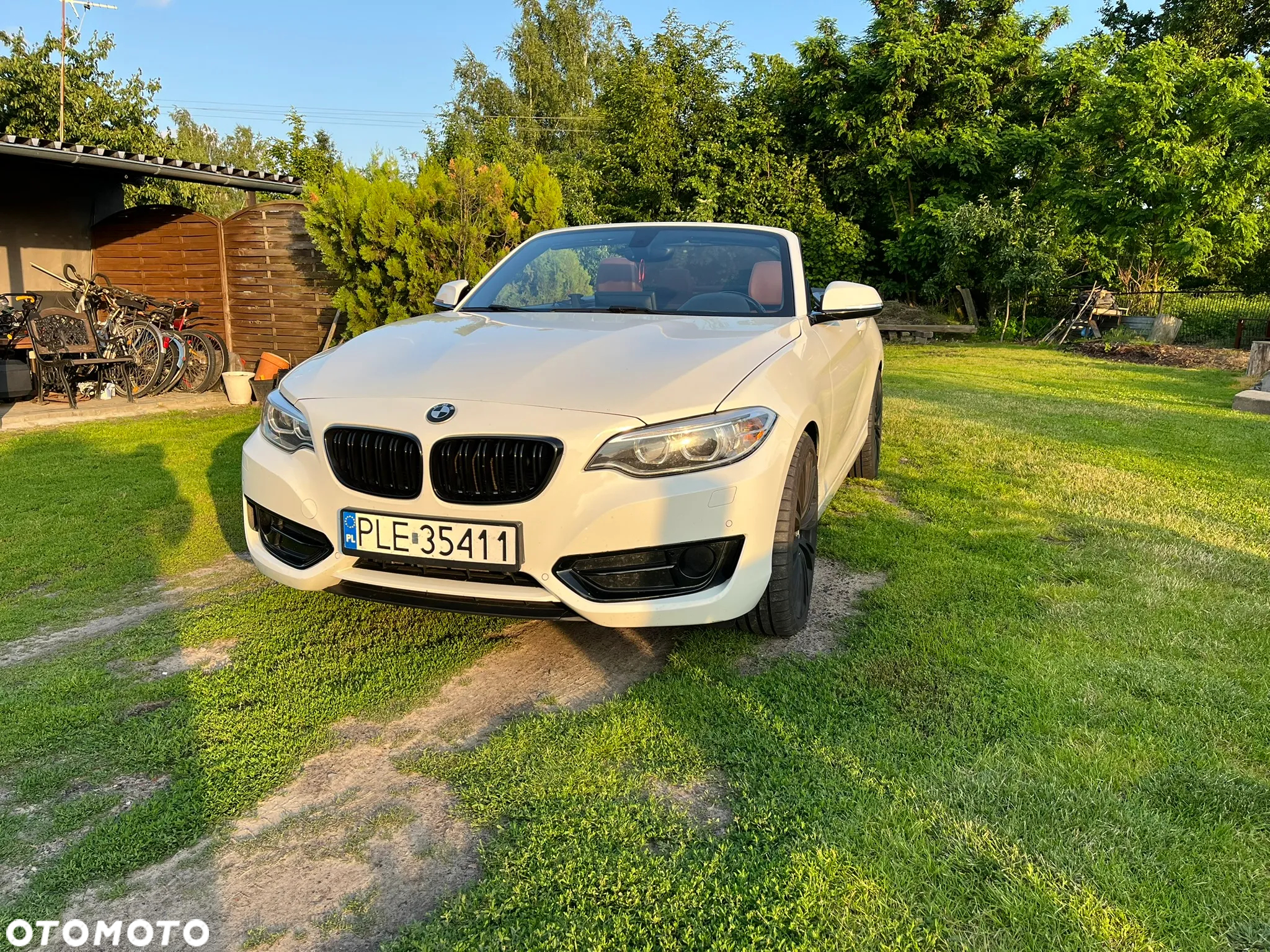 BMW Seria 2 220d - 19