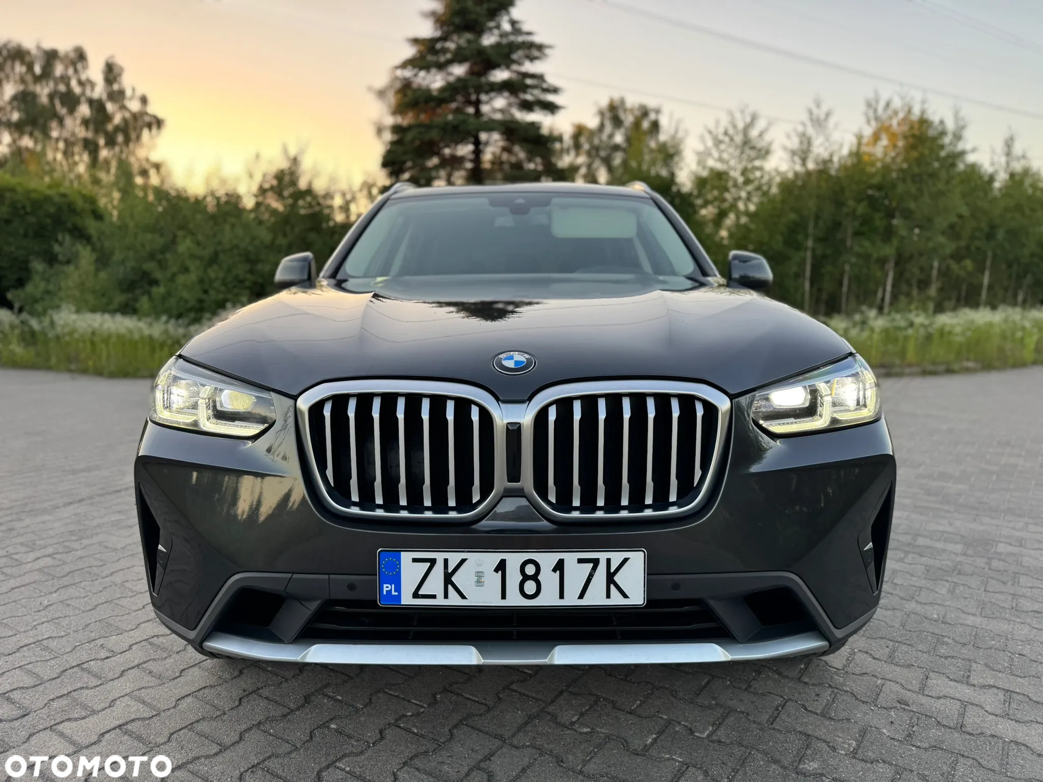 BMW X3 xDrive30d Luxury Line - 20