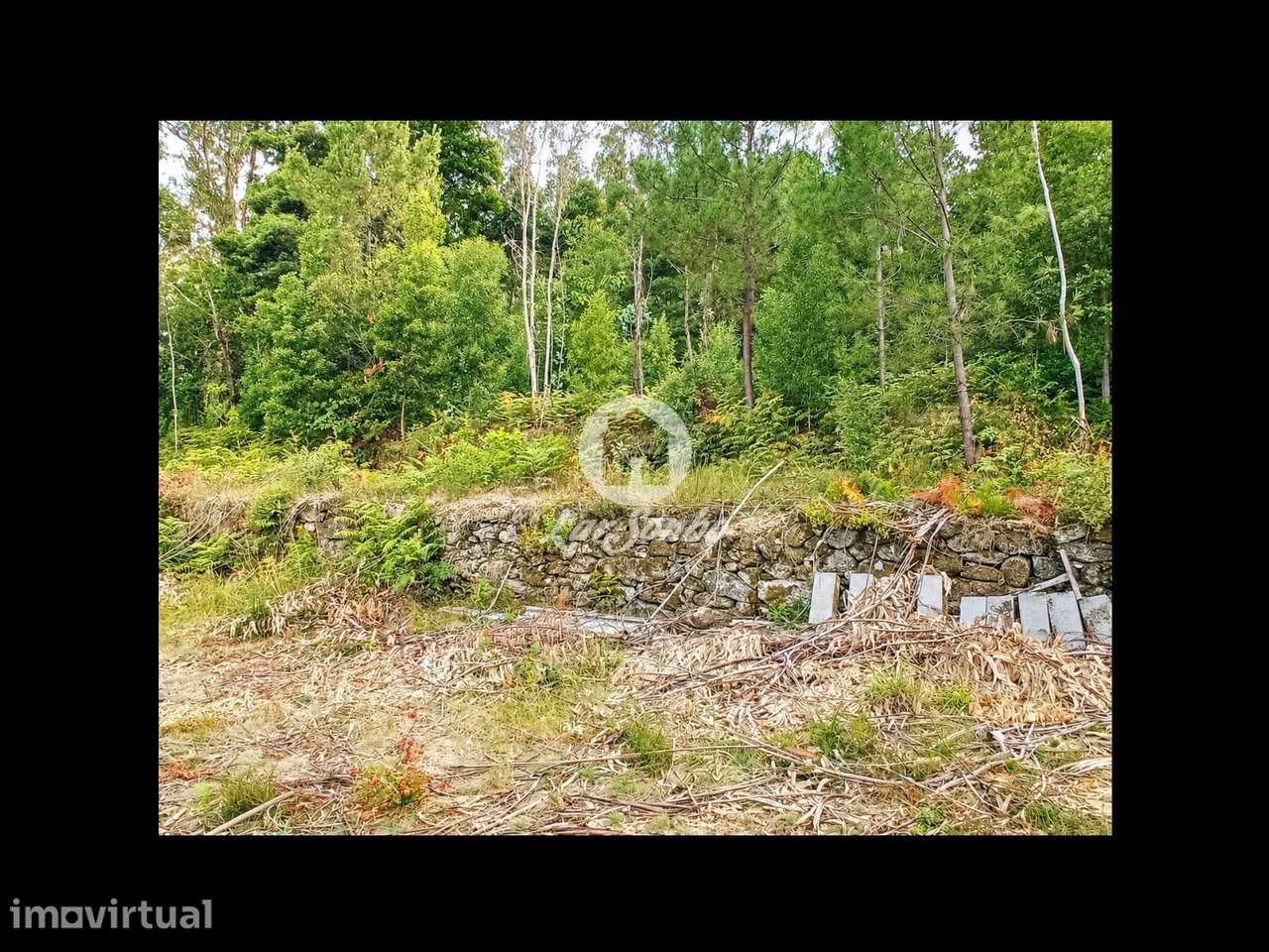 Terreno em Barcelos - Grande imagem: 5/22