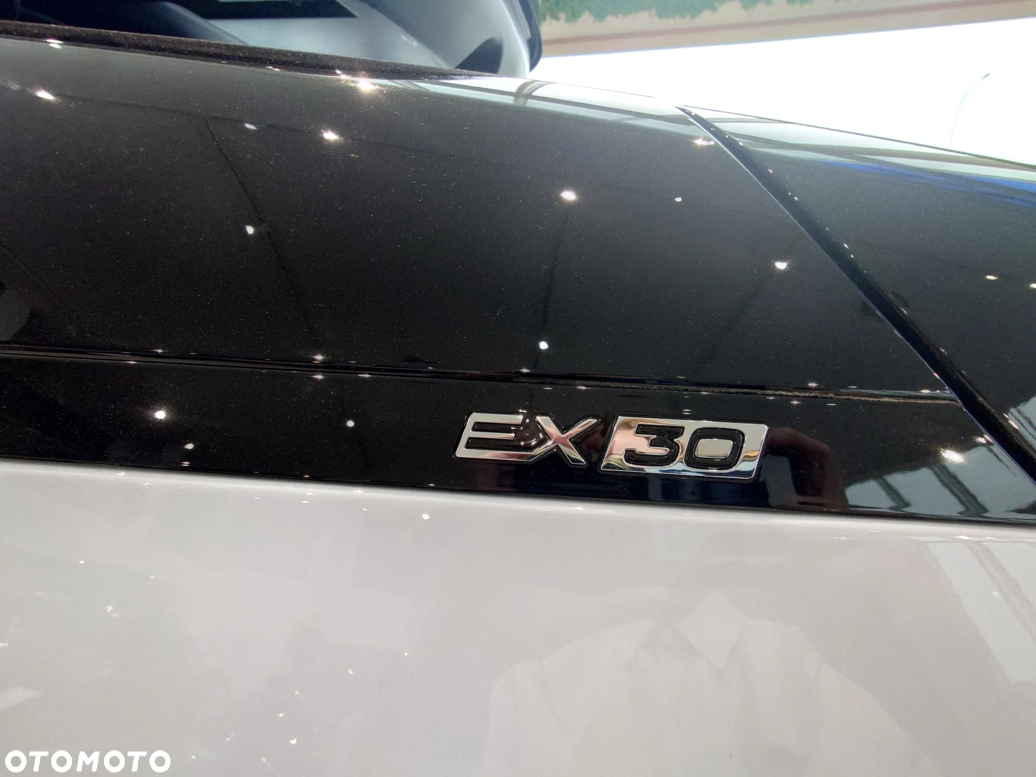 Volvo EX30 69kWh Twin Motor Ultra - 13