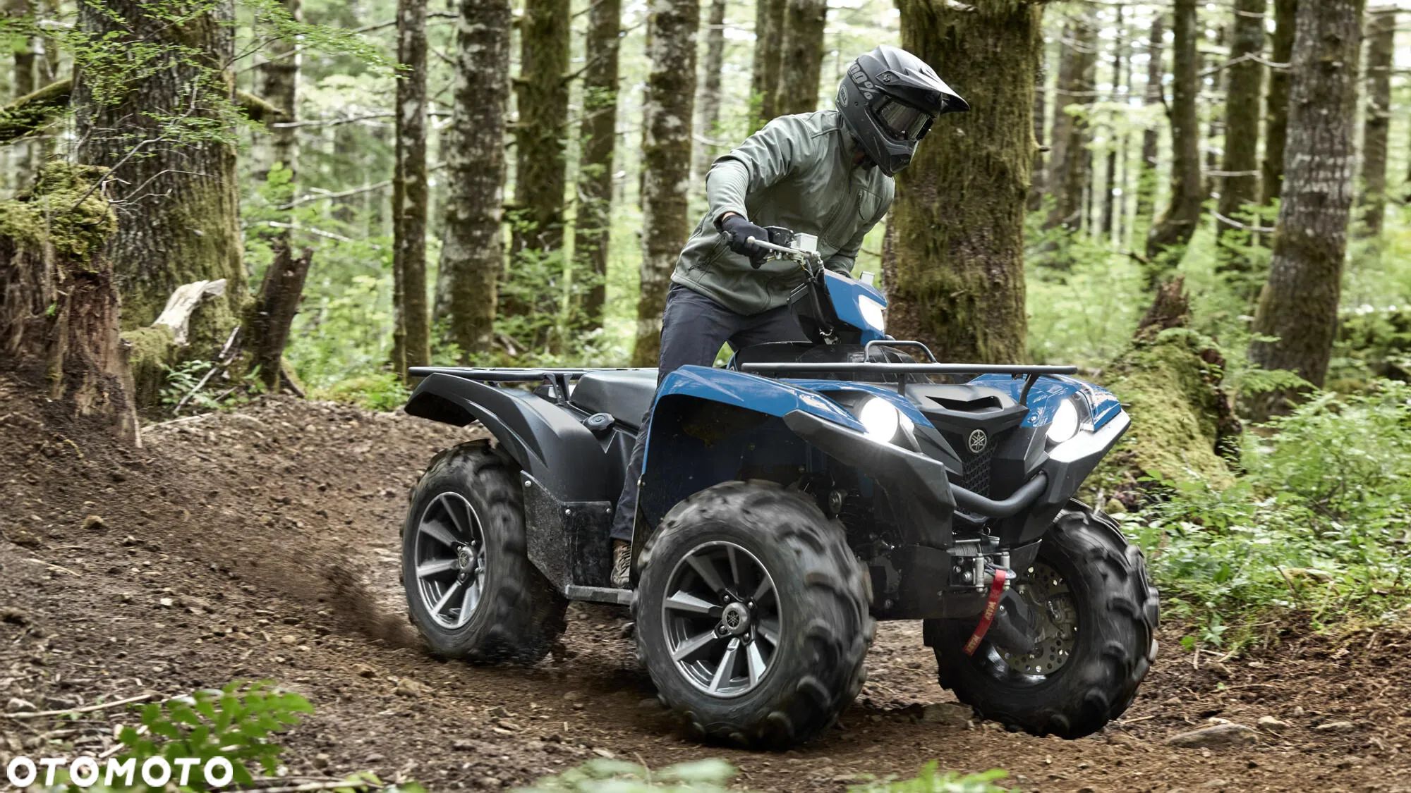 Yamaha Grizzly