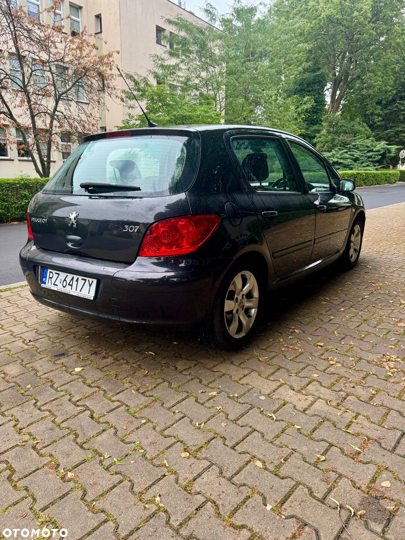 Peugeot 307 140 Sport - 4
