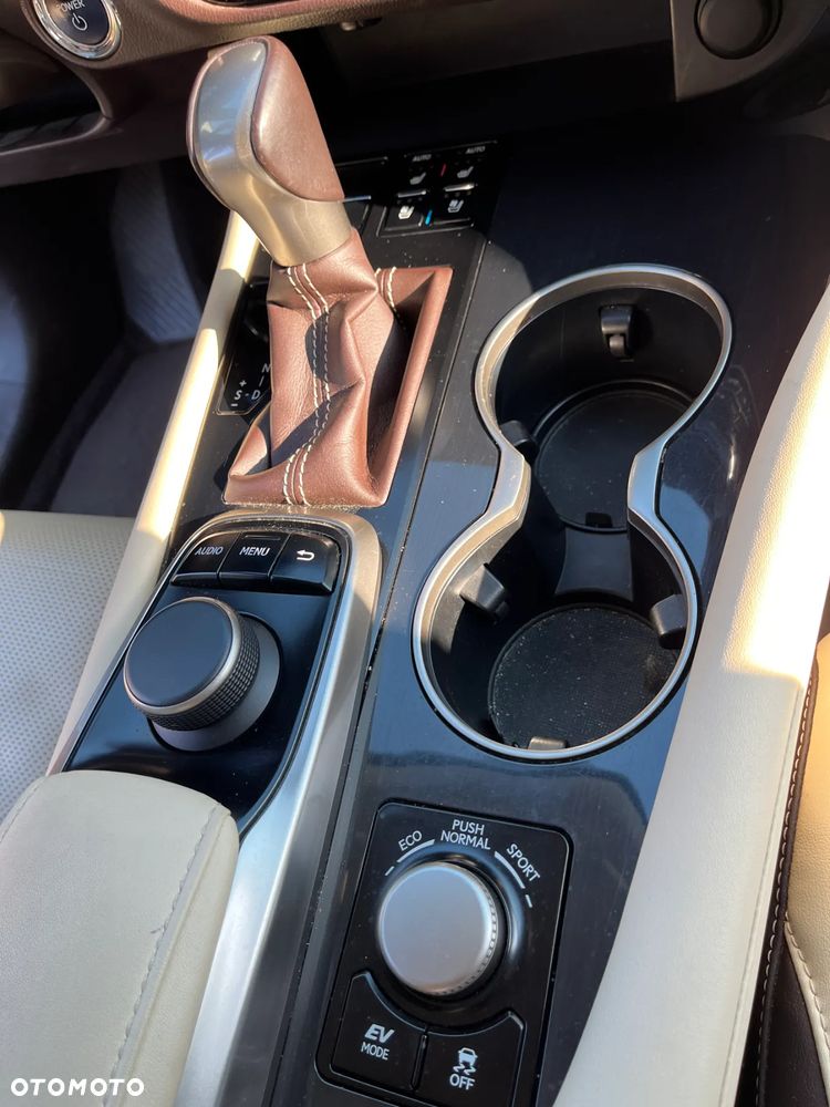 Lexus RX 450h Prestige - 30