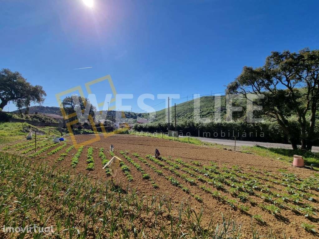 Terreno urbanizável de 1832m2 e ruínas para recuperação total - Grande imagem: 3/19