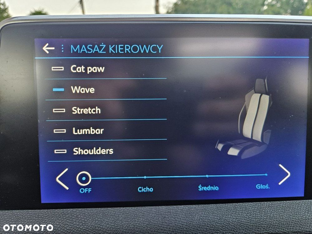 Peugeot 3008 1.5 BlueHDi GT Pack S&S EAT8 - 30