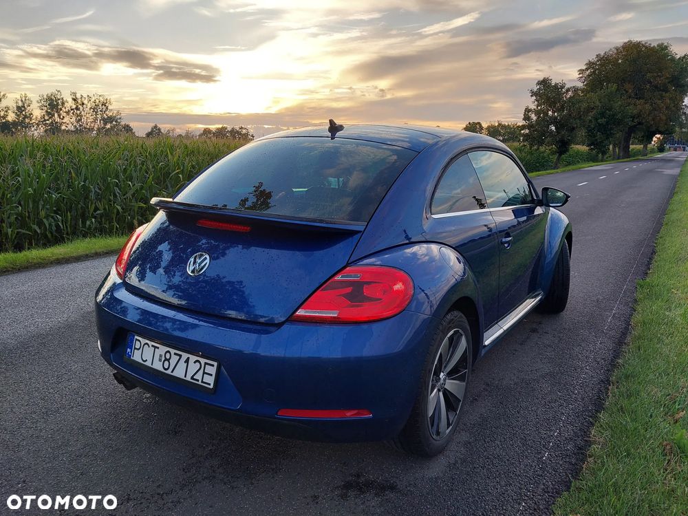 Volkswagen Beetle - 5