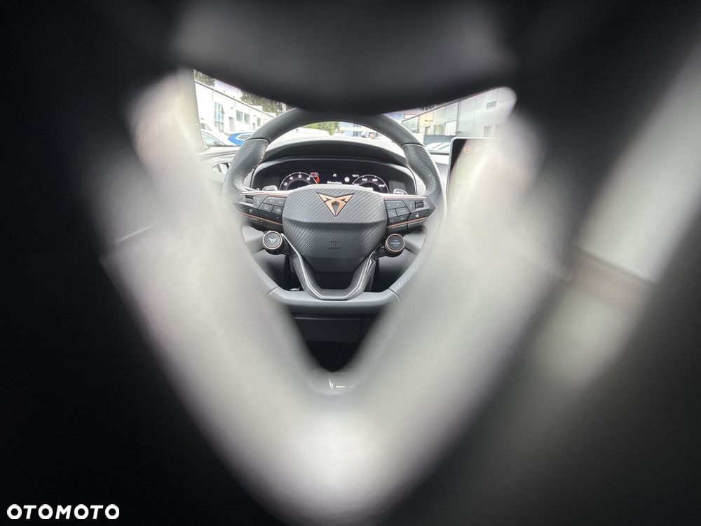 Cupra Terramar 2.0 TSI 4Drive Advantage Edition DSG - 19