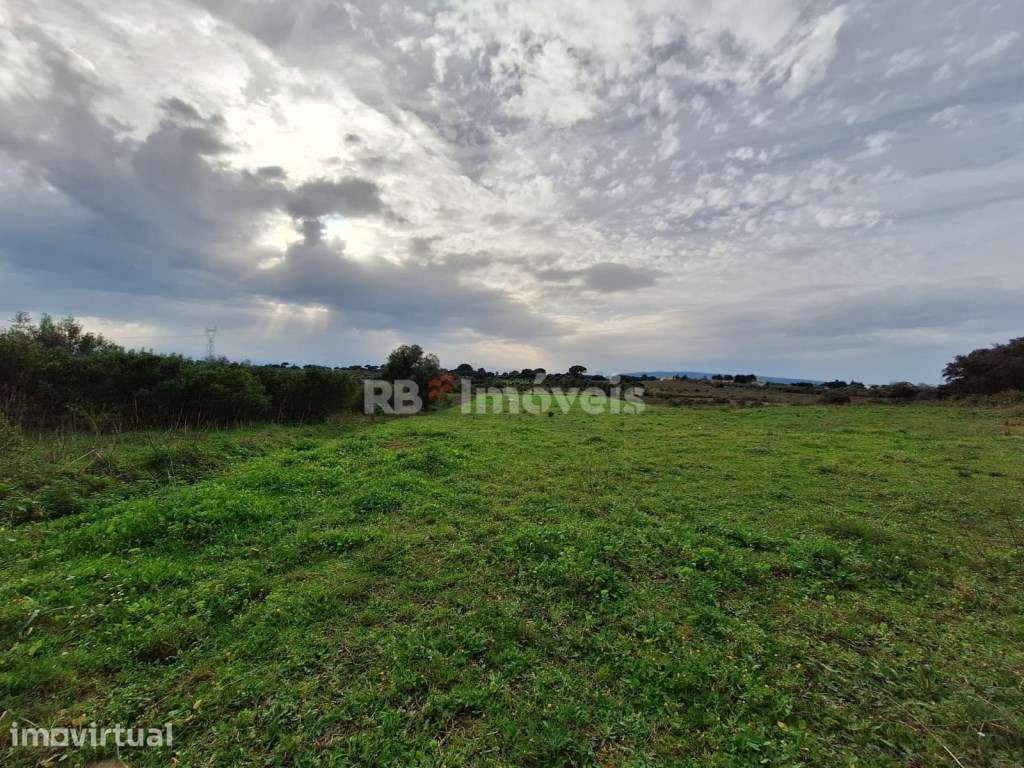 Terreno rústico com 21640m2 - Lamarosa, Torres Novas - Grande imagem: 2/12