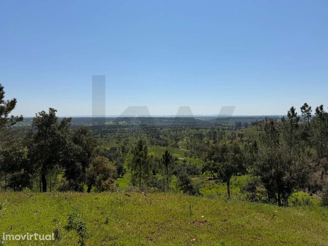 Terreno de 50ha em Santiago do Cacém - Grande imagem: 5/13