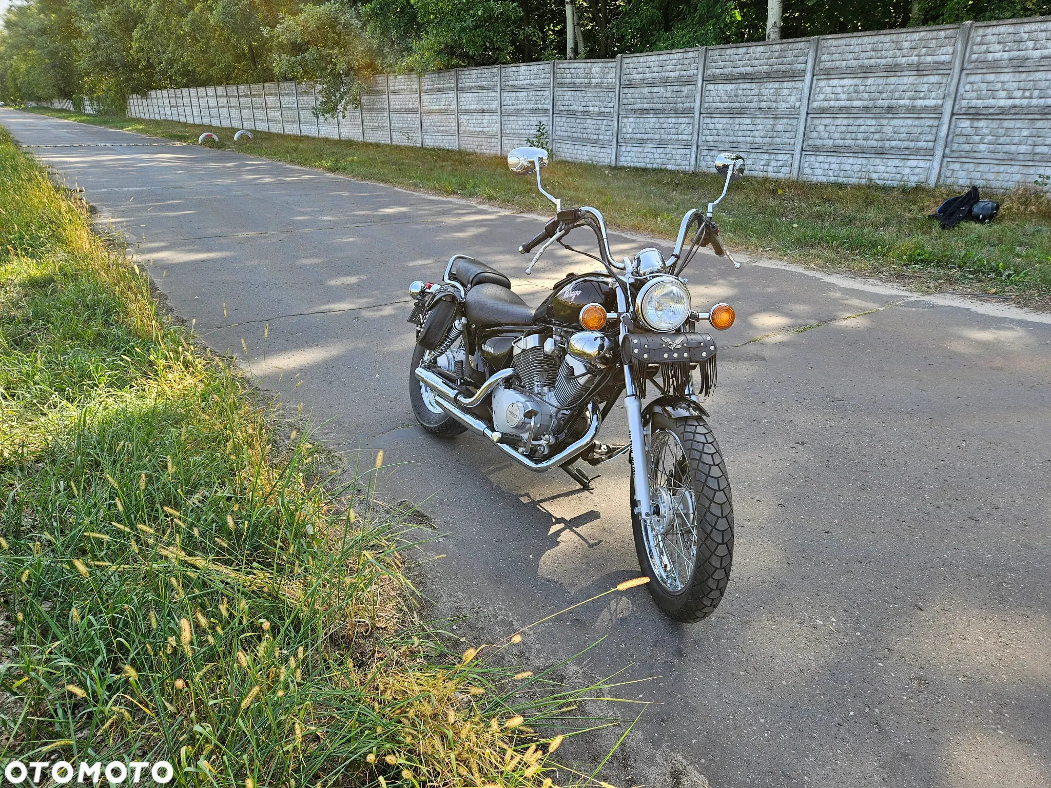 Yamaha Virago - 14