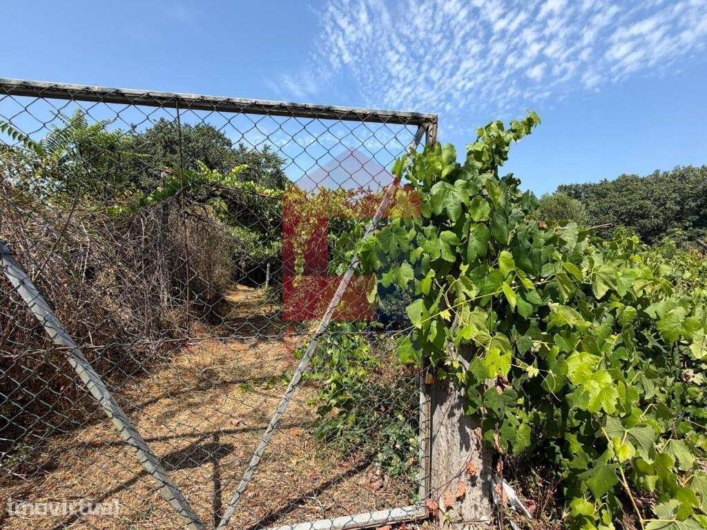 Terreno em zona de atividades económicas, Palmeira - Grande imagem: 4/14