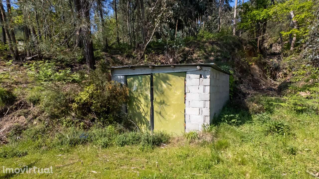 Moradia T2 Cinfães - Grande imagem: 2/41