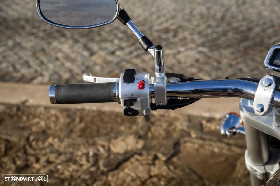 Suzuki Intruder - 19