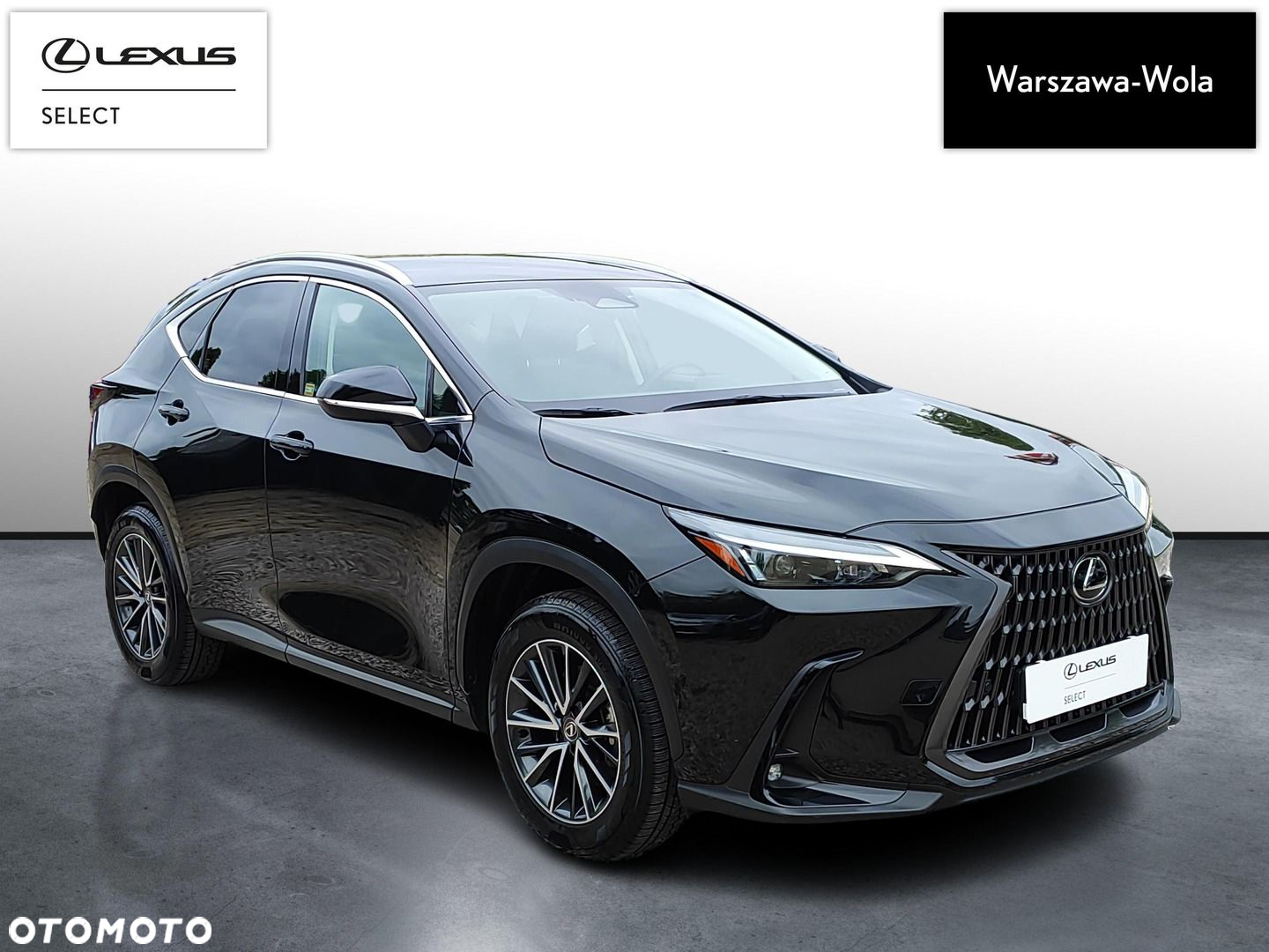Lexus NX - 10