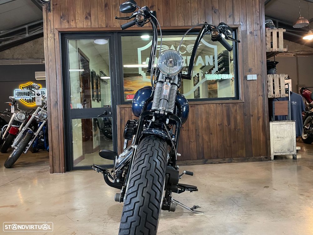 Harley-Davidson FLSTS Crossbones - 21