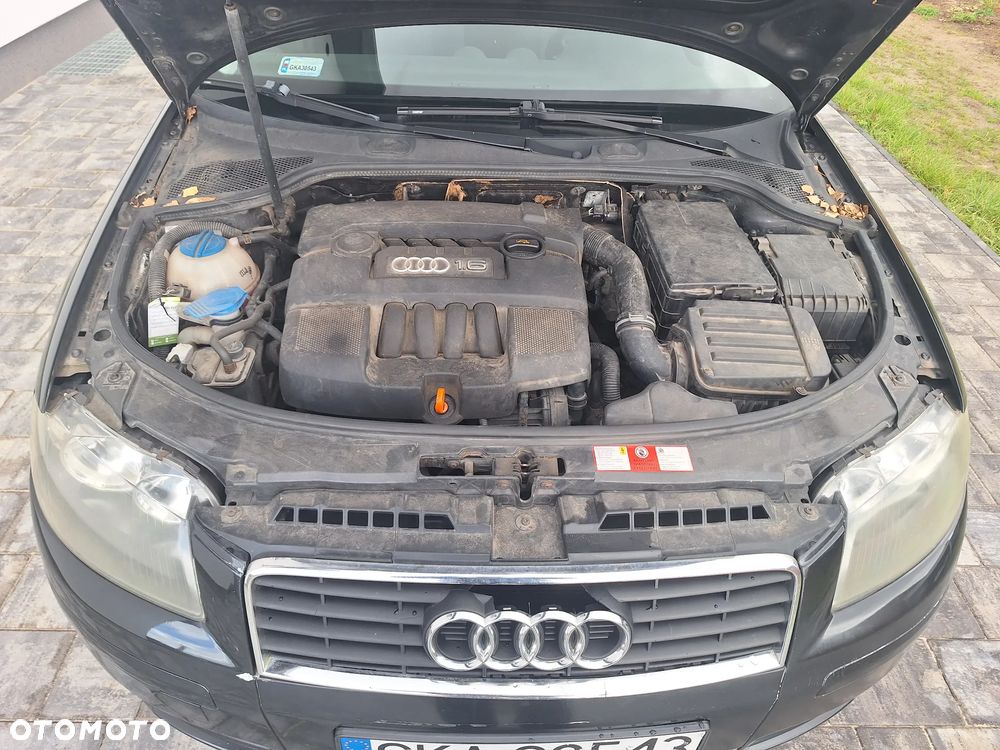 Audi A3 1.6 Limited Edition - 4