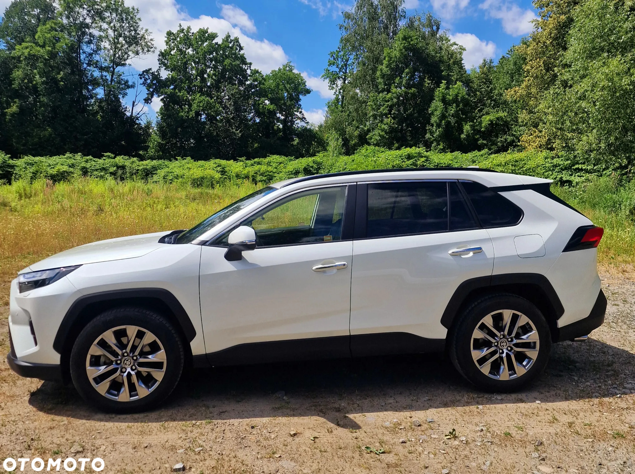 Toyota RAV4 2.5 Hybrid Executive 4x4 - 16