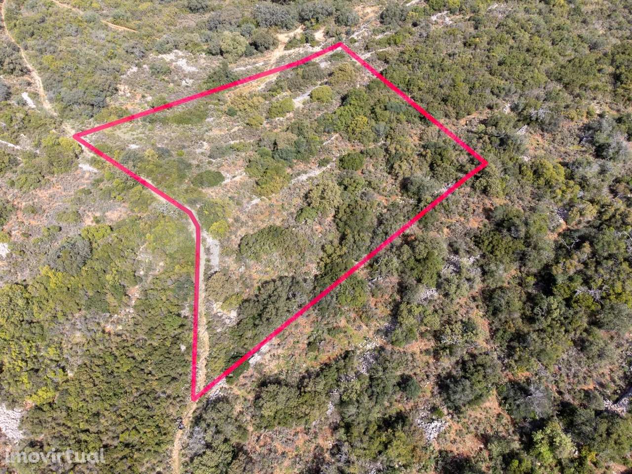 Terreno Rústico, Gorjões, Santa Bárbara de Nexe - Grande imagem: 2/16