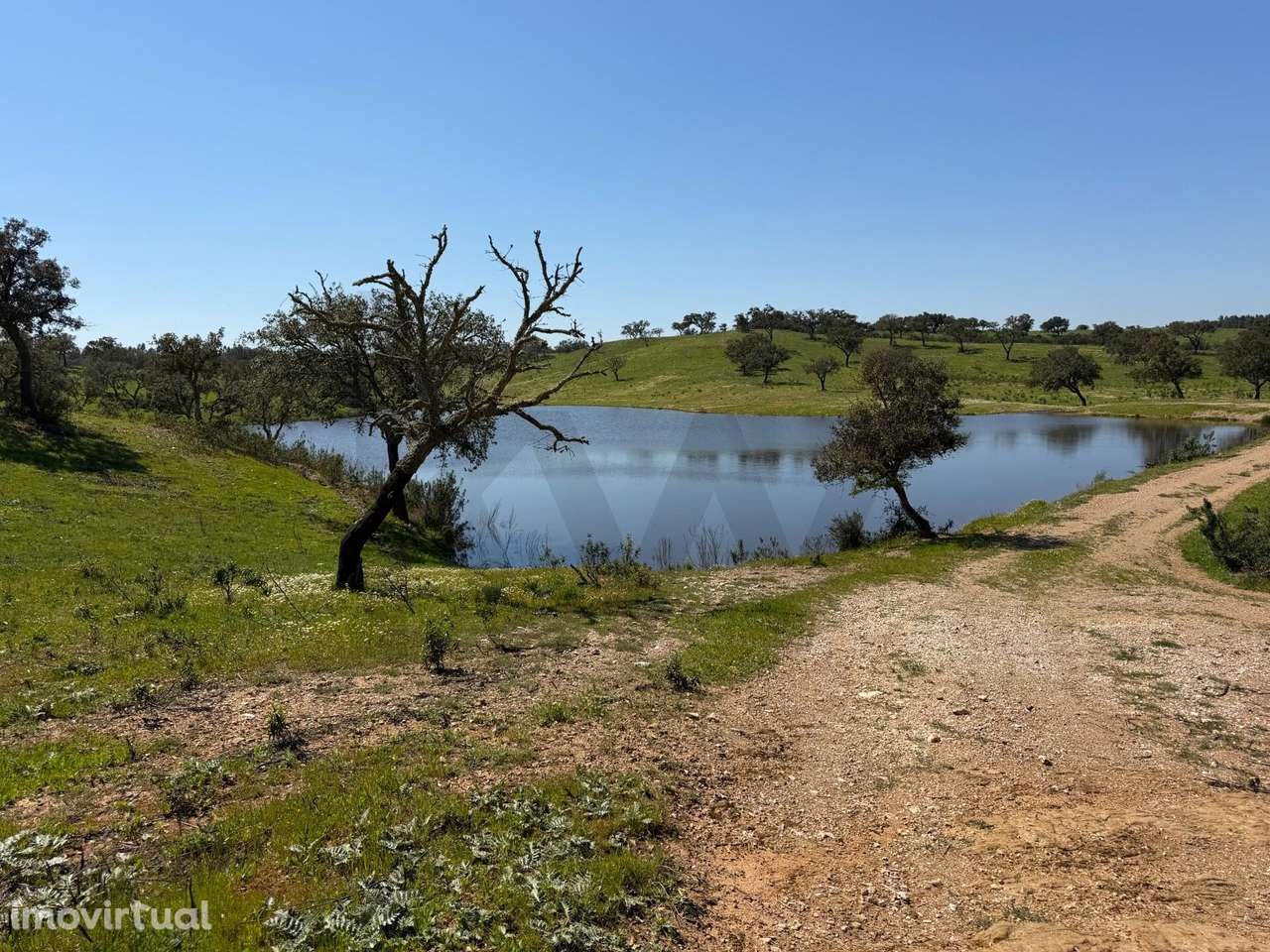 Terreno de 50ha em Santiago do Cacém - Grande imagem: 2/13