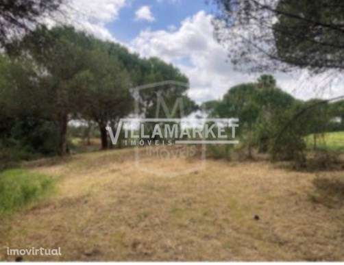 Terreno rústico da banca com 33300 m2 situado na Herdade da Sesmaria d - Grande imagem: 3/6