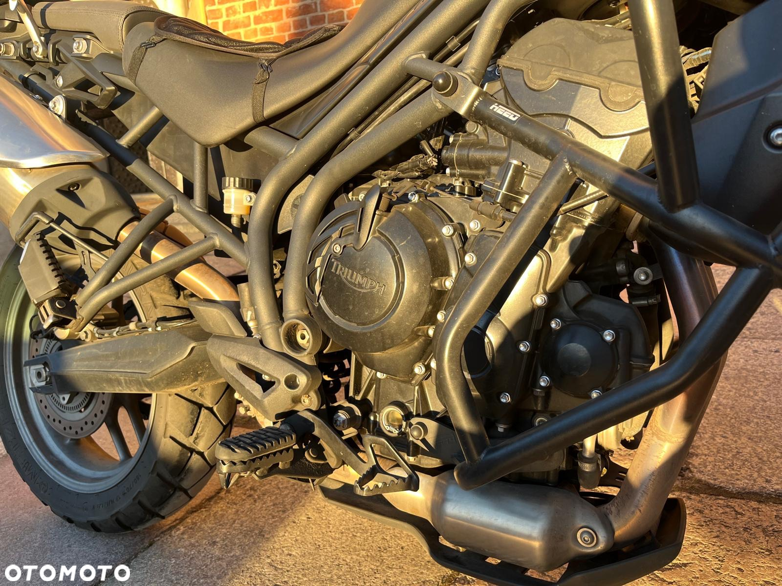 Triumph Tiger