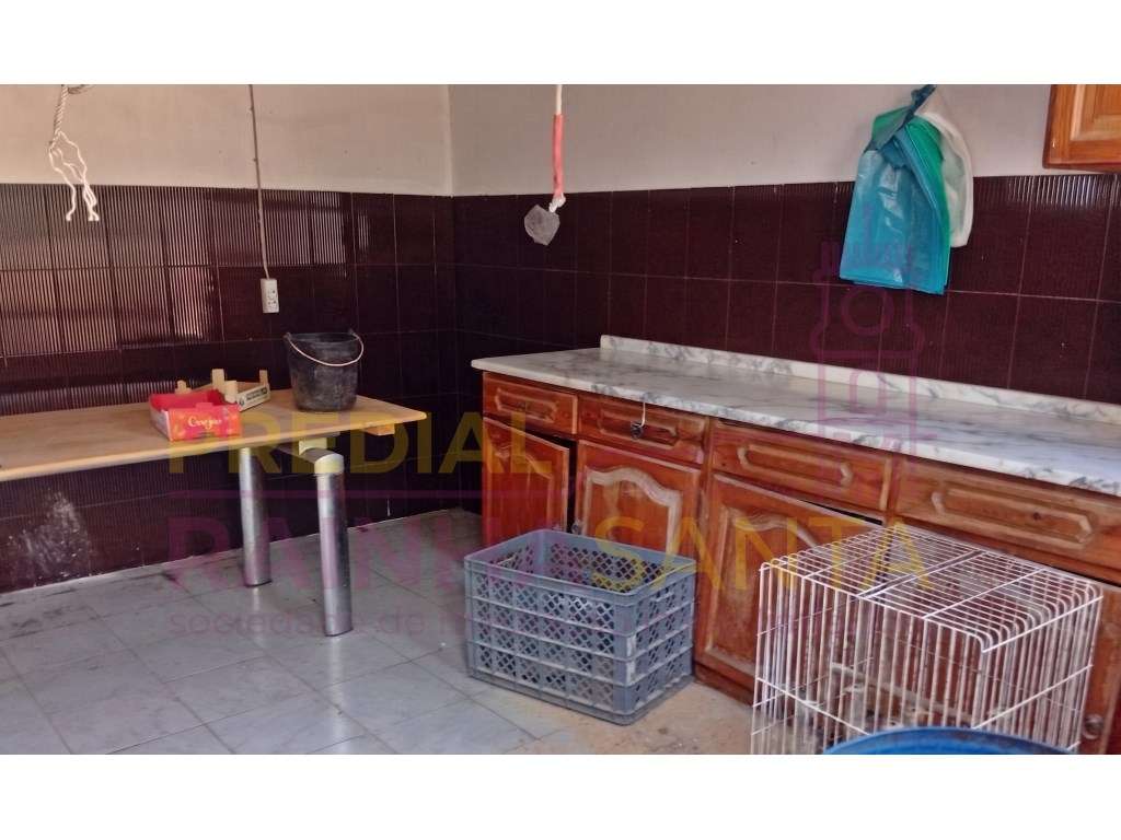 Herdade toda murada com artigo urbano 1460 m2 e rústico com 15.000 m2 - Grande imagem: 3/11