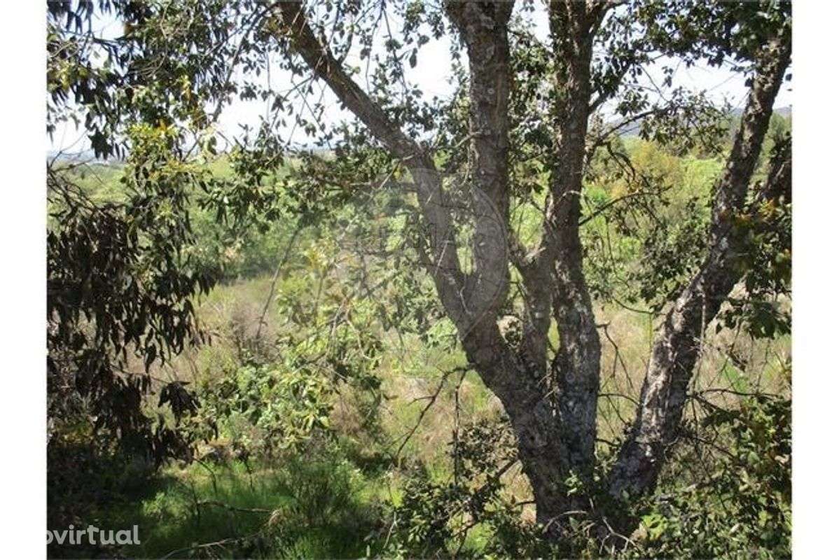 Quinta  para venda - Grande imagem: 2/42