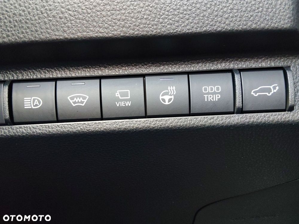 Toyota RAV4 2.5 Hybrid Executive 4x2 - 24