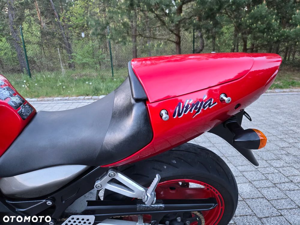 Kawasaki Ninja - 18