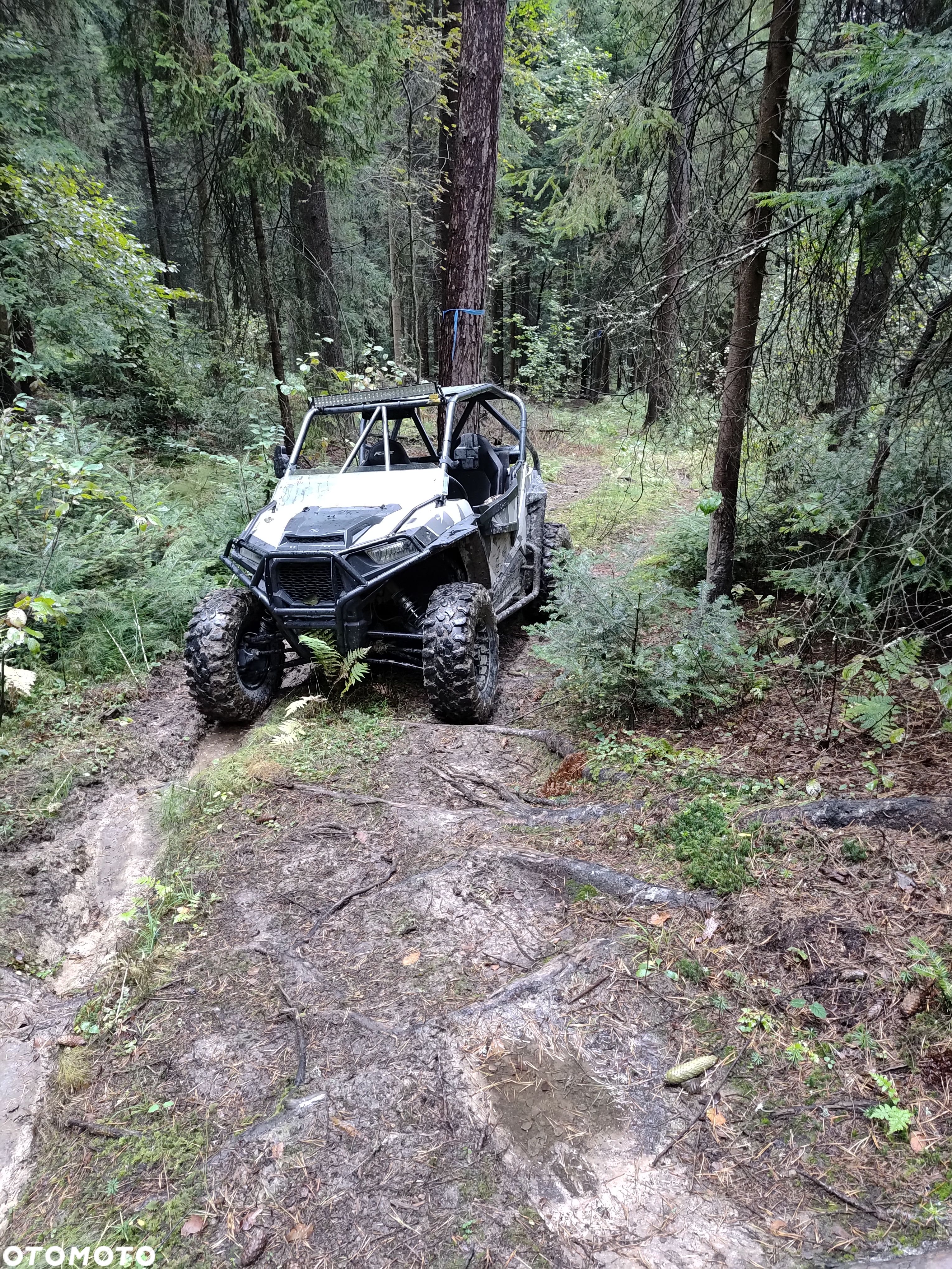 Polaris RZR