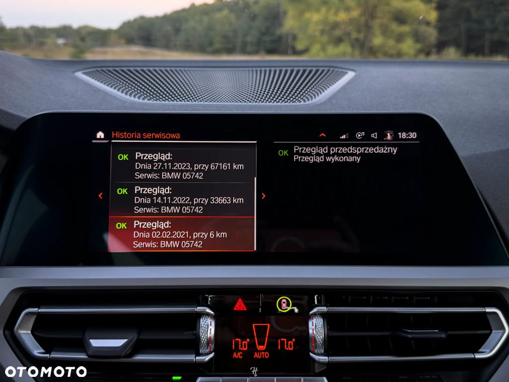BMW Seria 3 330e Advantage sport - 38