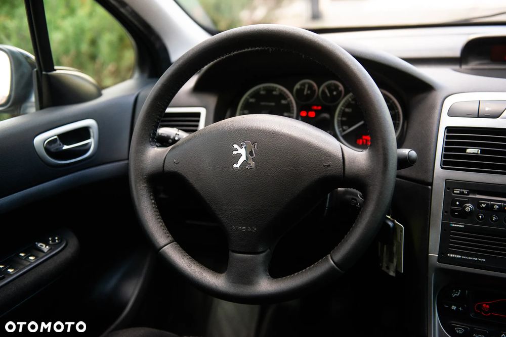 Peugeot 307 110 Grand Filou - 27