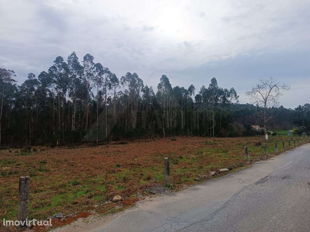 Terreno com uma área total de 10.796 m2 - Grande imagem: 2/5