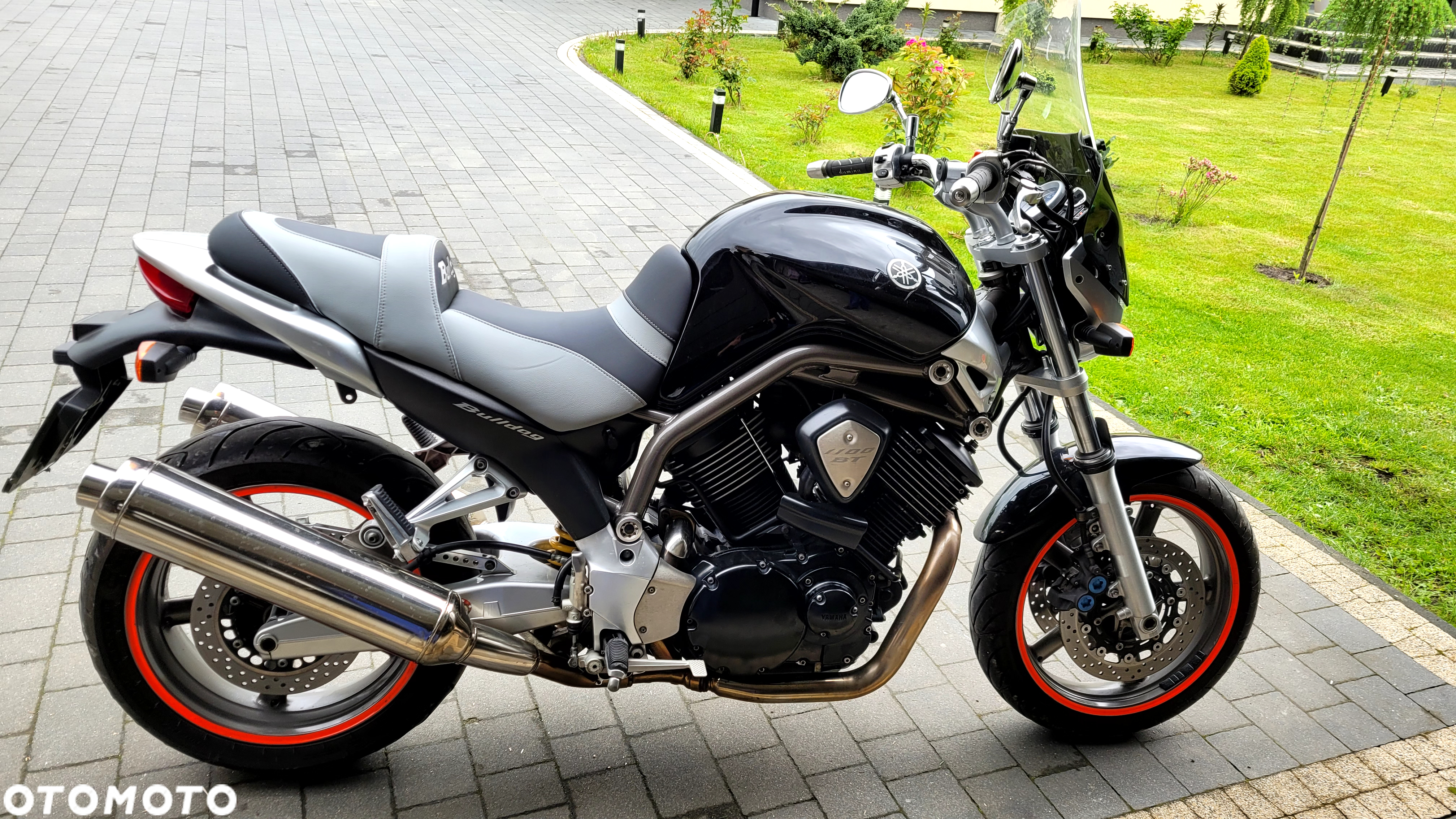 Yamaha Bulldog - 6