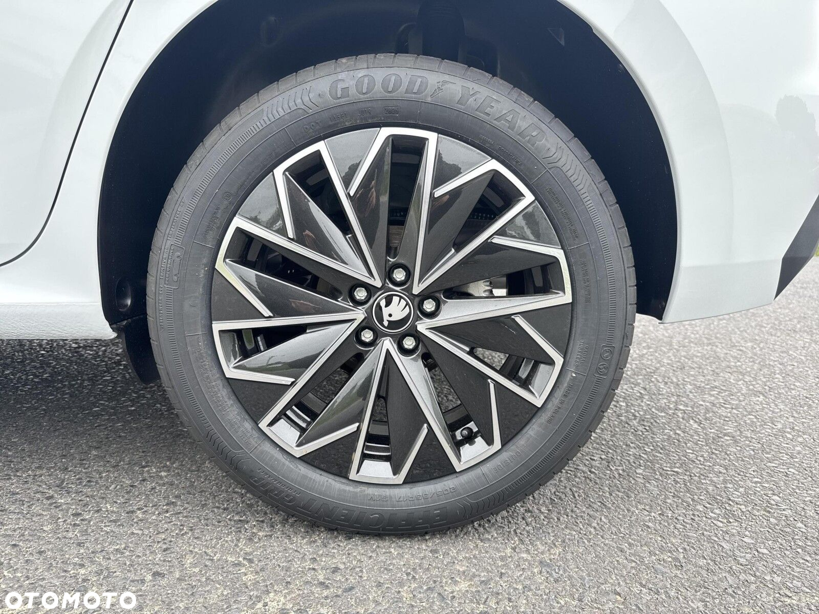 Skoda Kamiq 1.5 TSI Edition 130 DSG - 32