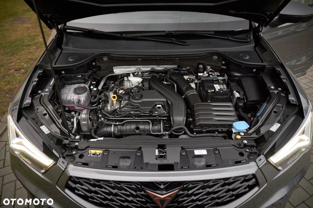 Cupra Ateca - 29