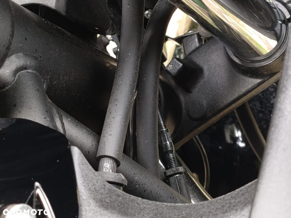 Kawasaki Ninja - 39