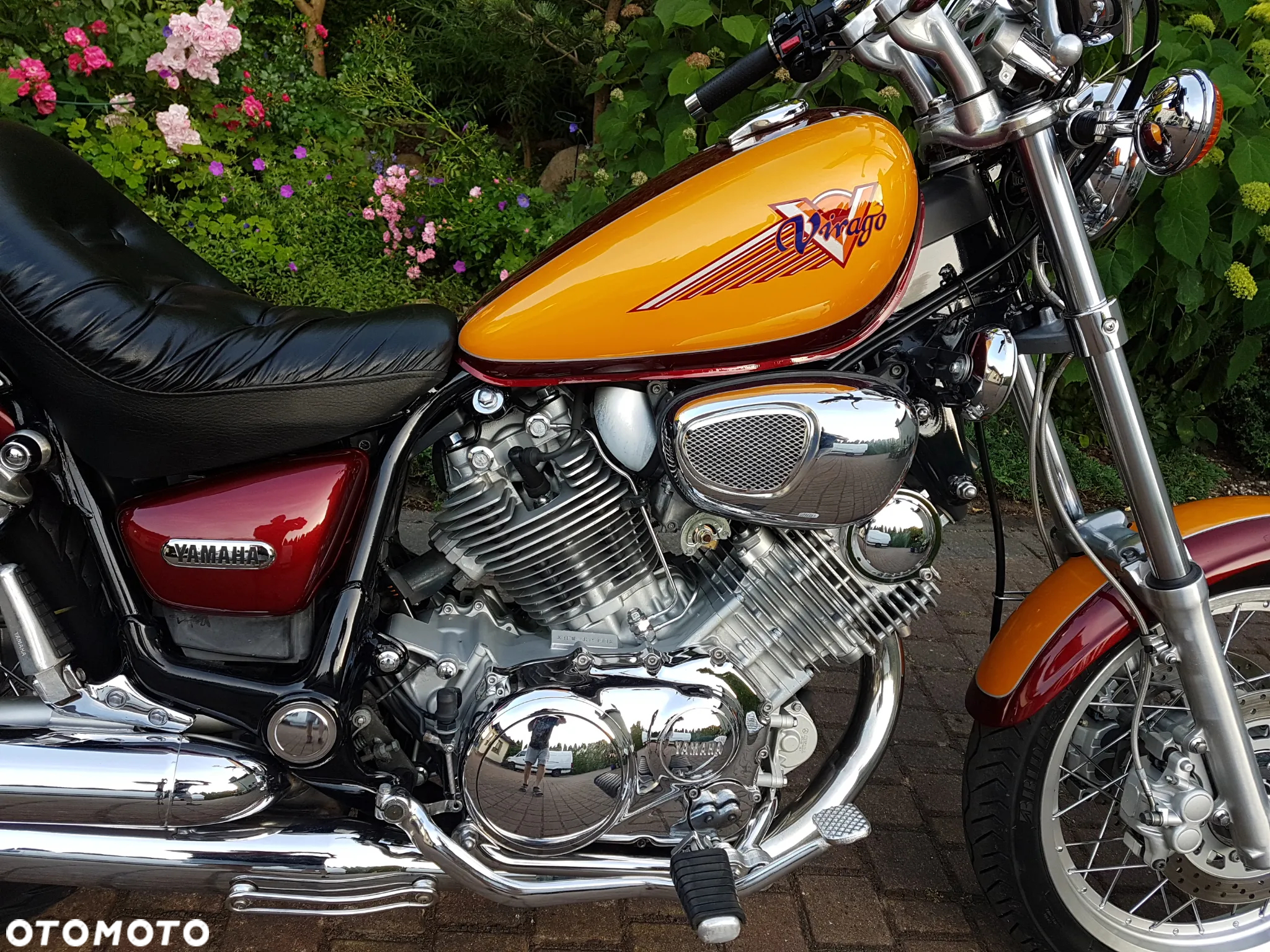 Yamaha Virago - 3