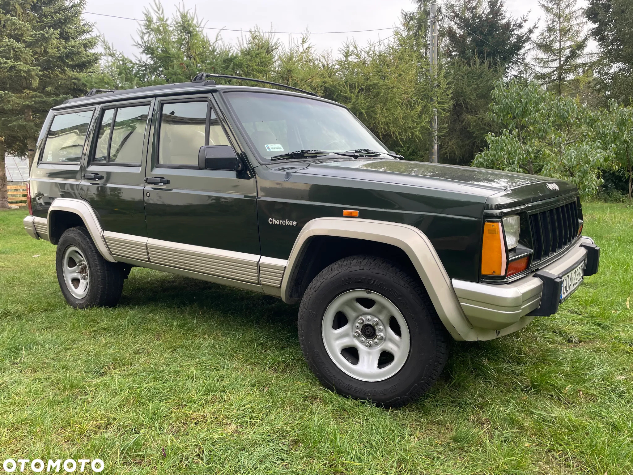 Jeep Cherokee - 20