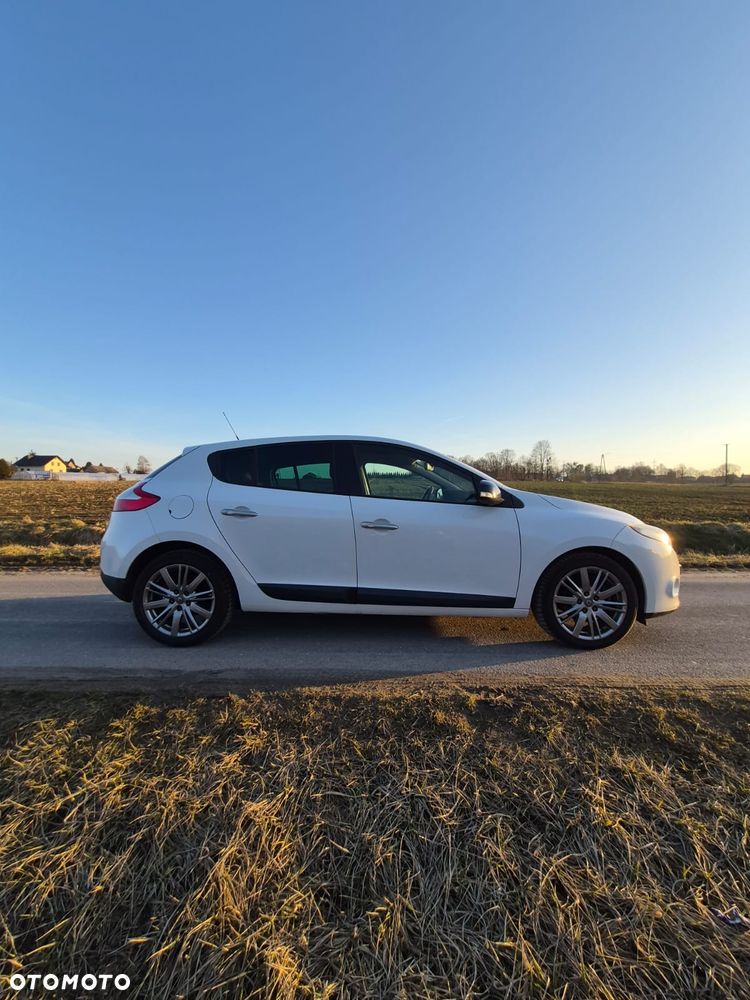Renault Megane 1.9 dCi Color Edition - 8