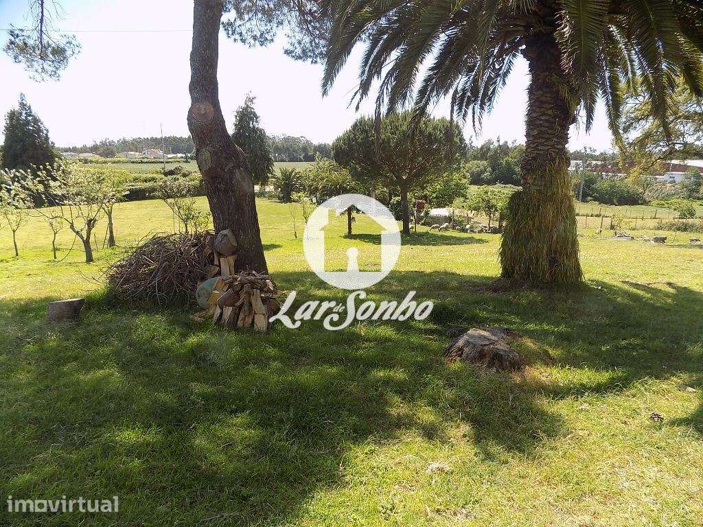 Quinta M3 c/ terreno de 8.231 m2 em Guilhabreu, Vila do Conde - Grande imagem: 2/9