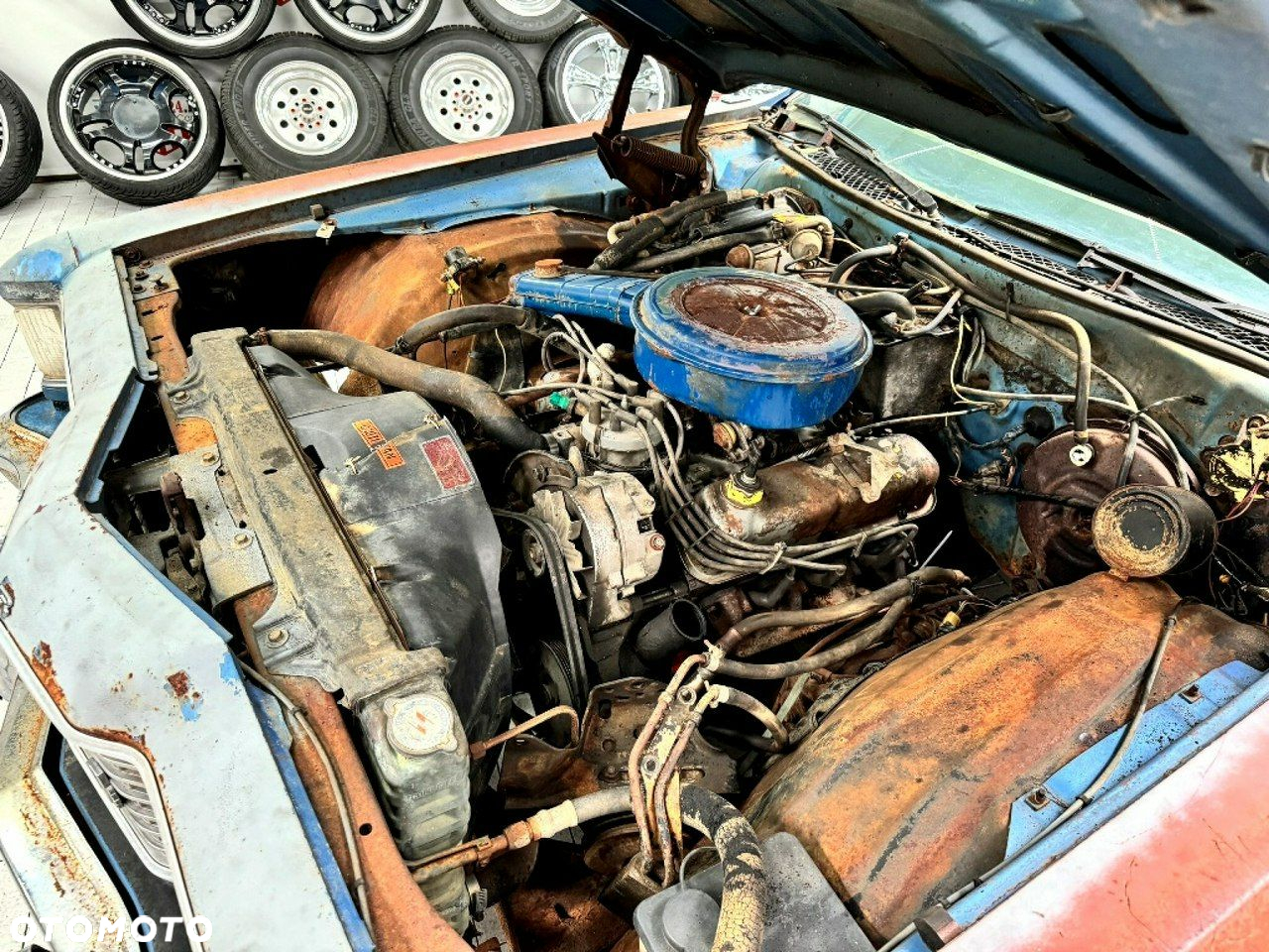 Ford Inny - 18