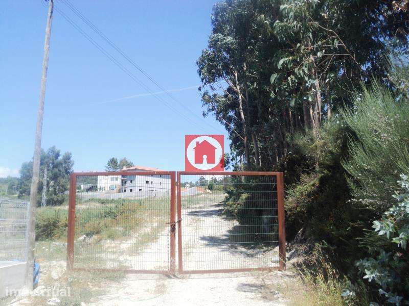 Oportunidade de Investimento: Terreno Industrial de 9.900m2 em Zona... - Grande imagem: 3/5